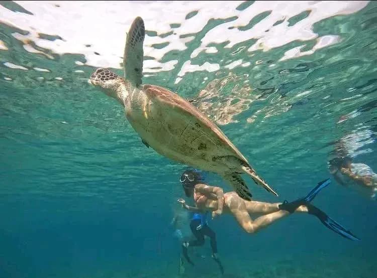 Basdaku White Beach 4