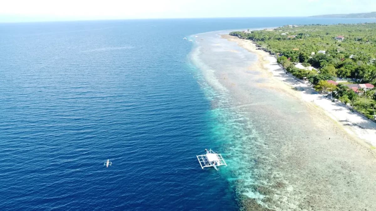 Basdaku White Beach - Beaches - Moalboal