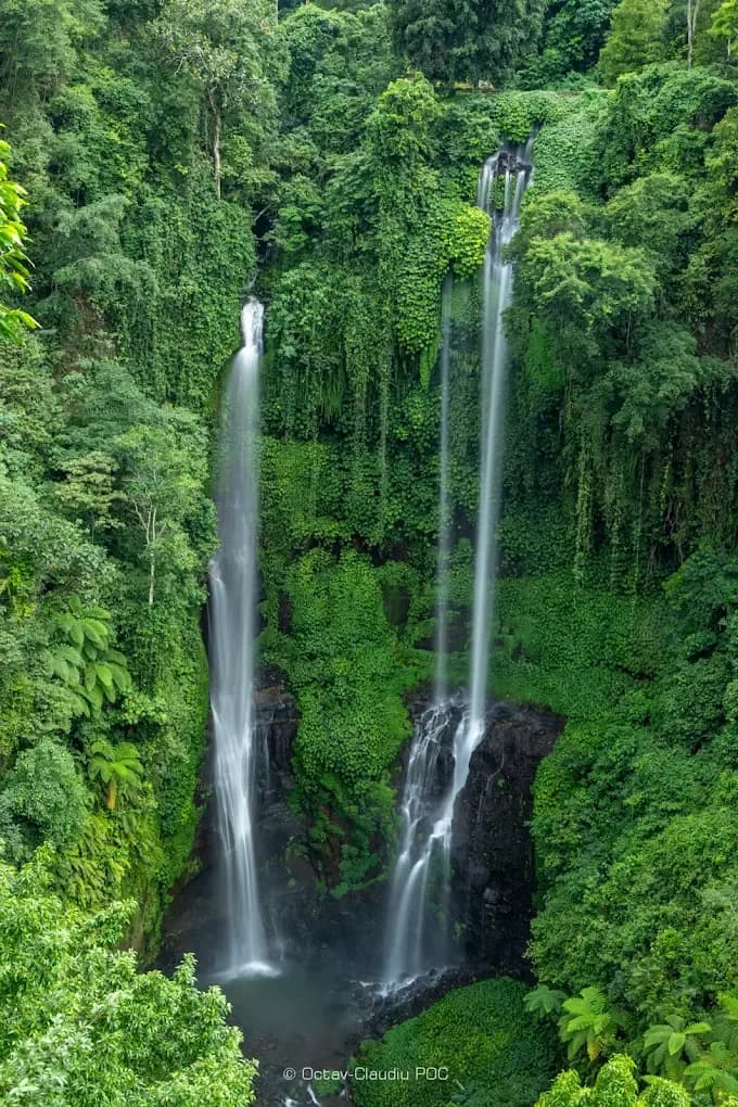 Sekumpul Waterfall 3