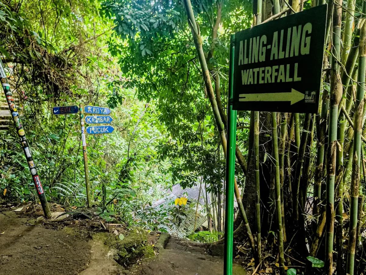 Aling-Aling Waterfall 3