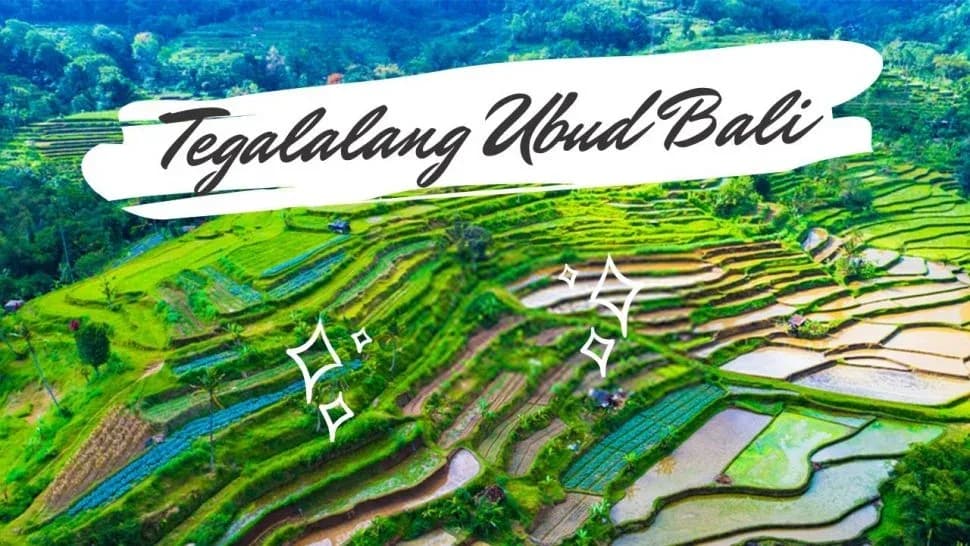 Tegalalang Rice Terrace - Tours & Activities - Gianyar