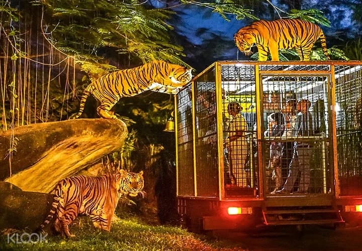 Bali Safari and Marine Park 2