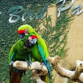 Bali Bird Park 2