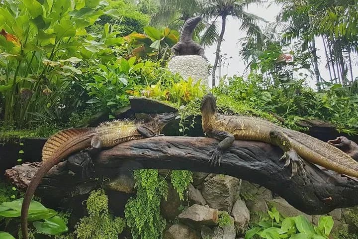Bali Reptile Park 3