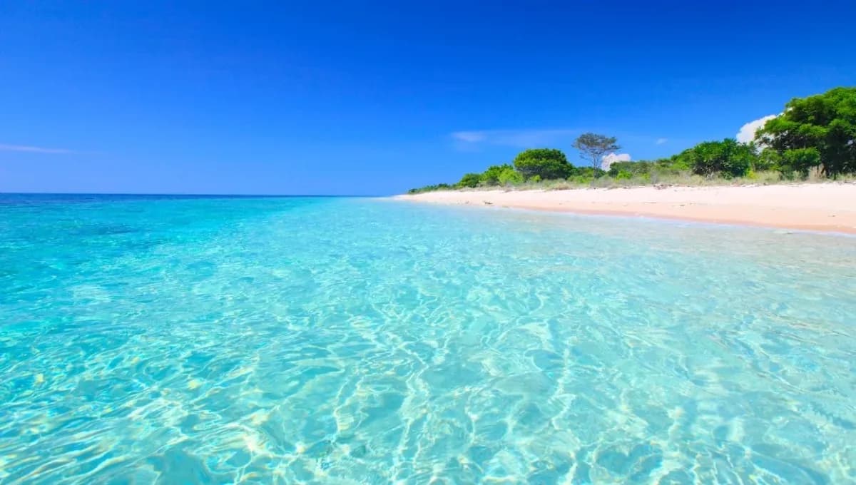 West Bali National Park 4